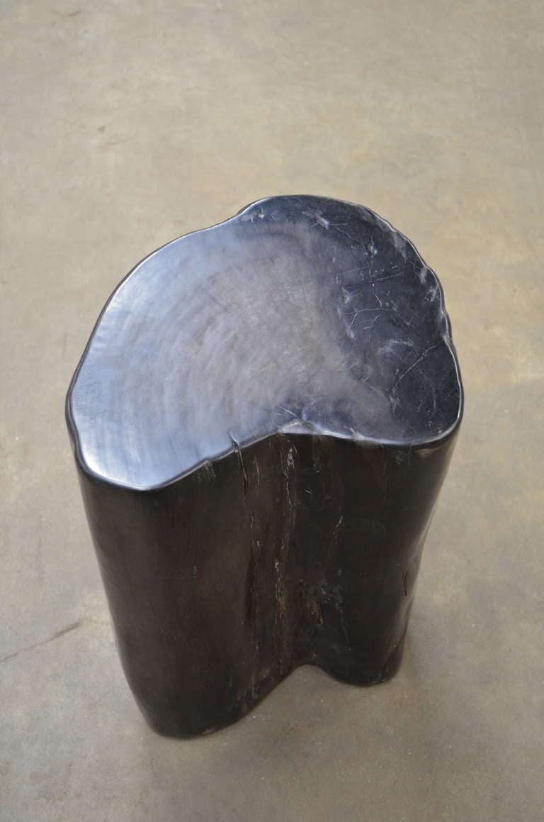 Petrified Wood Stool/Table 1