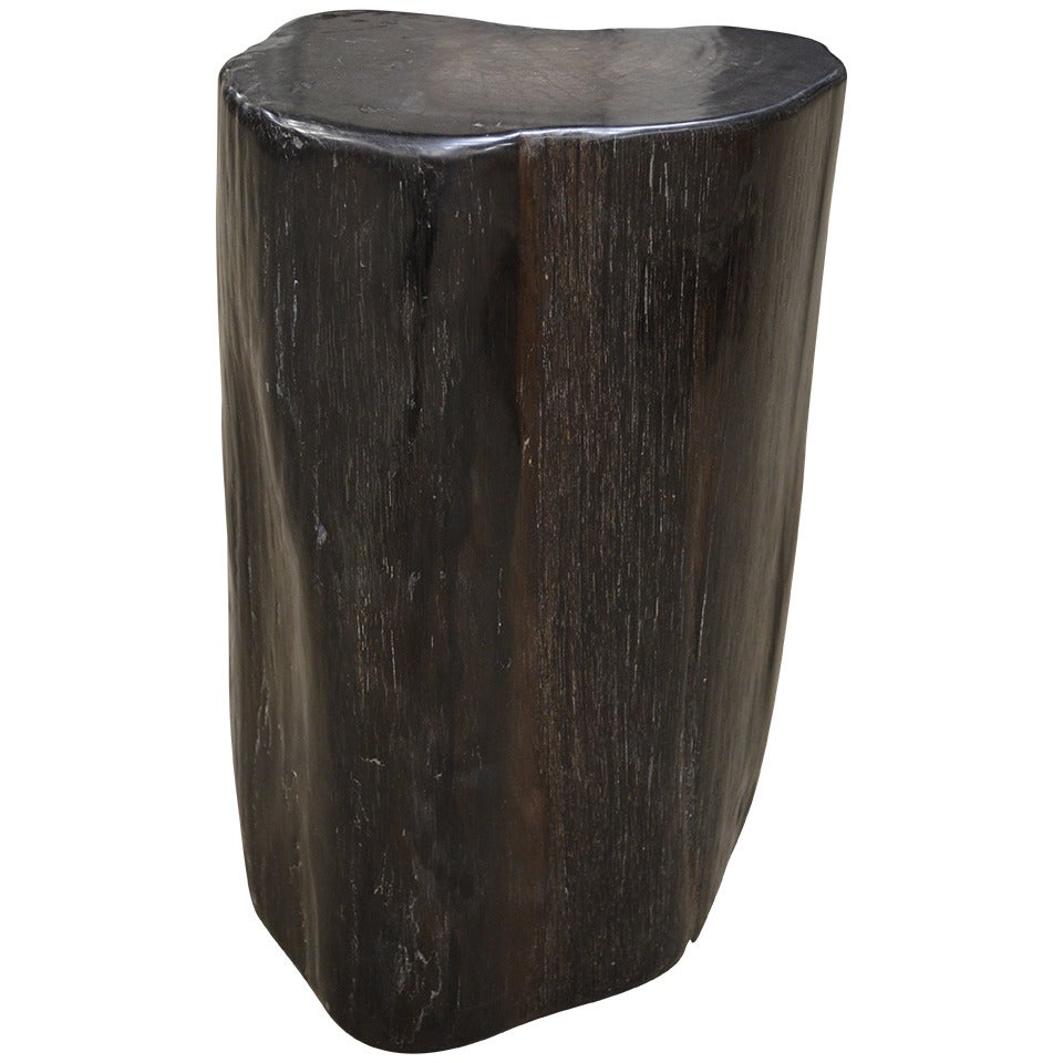 Petrified Wood Stool/Table
