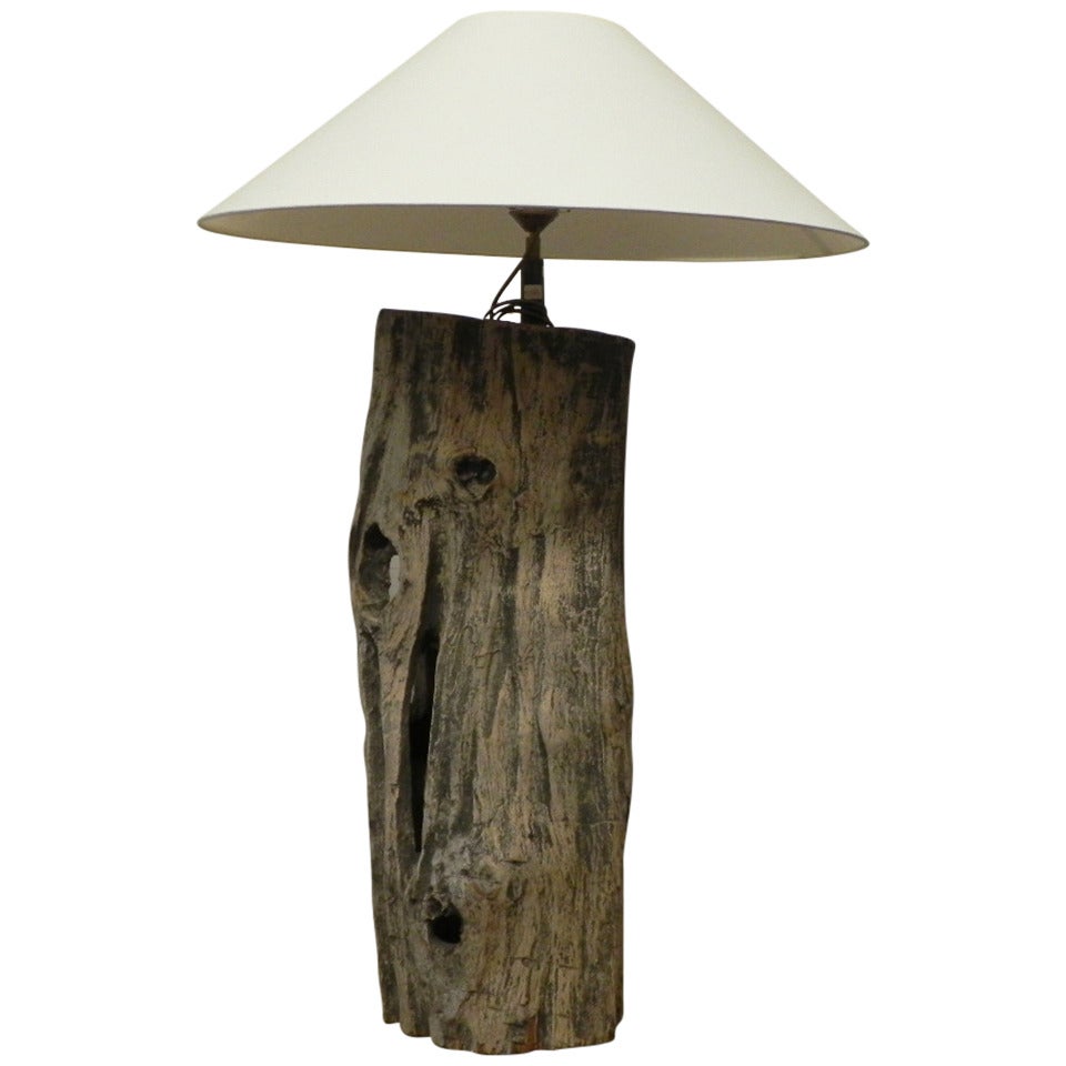 Driftwood Table Lamp For Sale