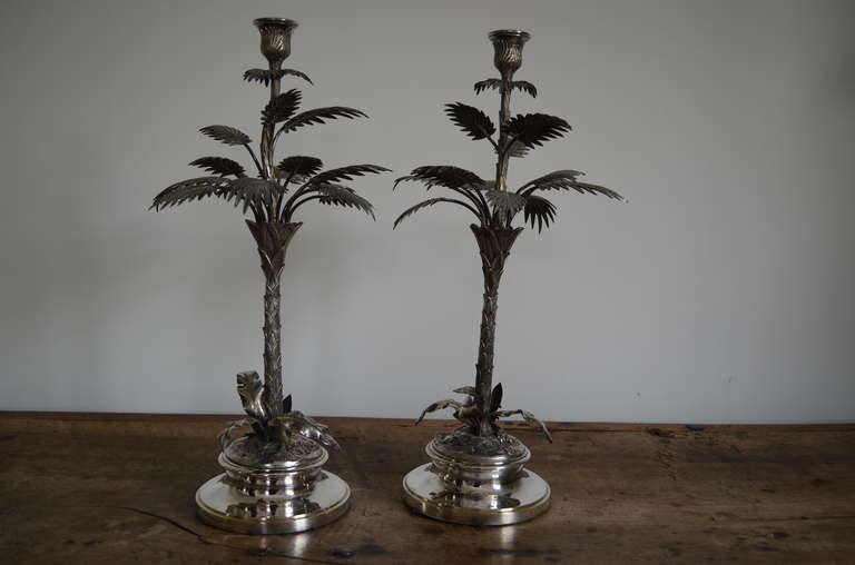 Pair of Victorian Palm Tree Candlesticks