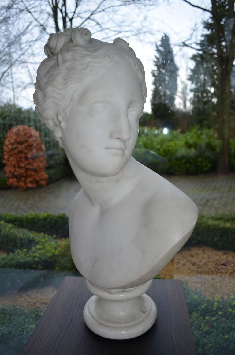Neoclassical 19 th. century Marble Bust For Sale