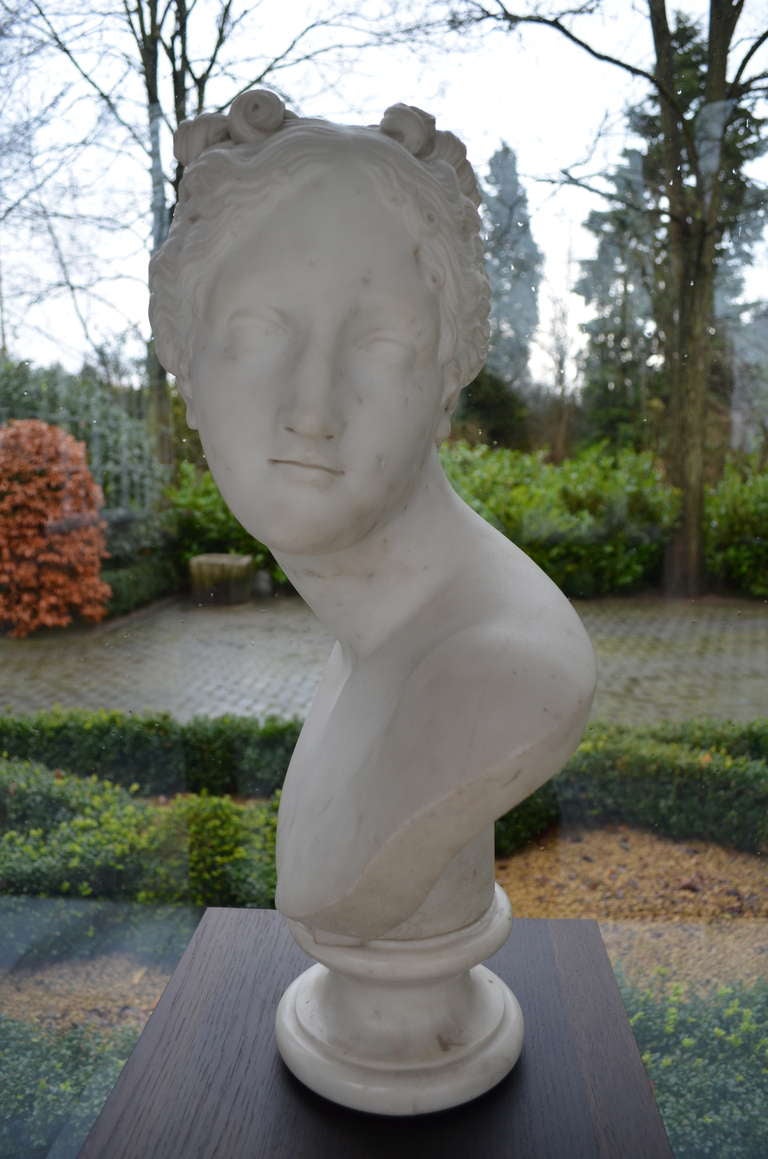 Italian 19 th. century Marble Bust For Sale