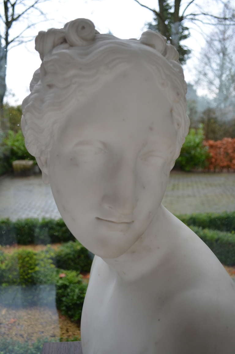 19 th. century Marble Bust For Sale 2