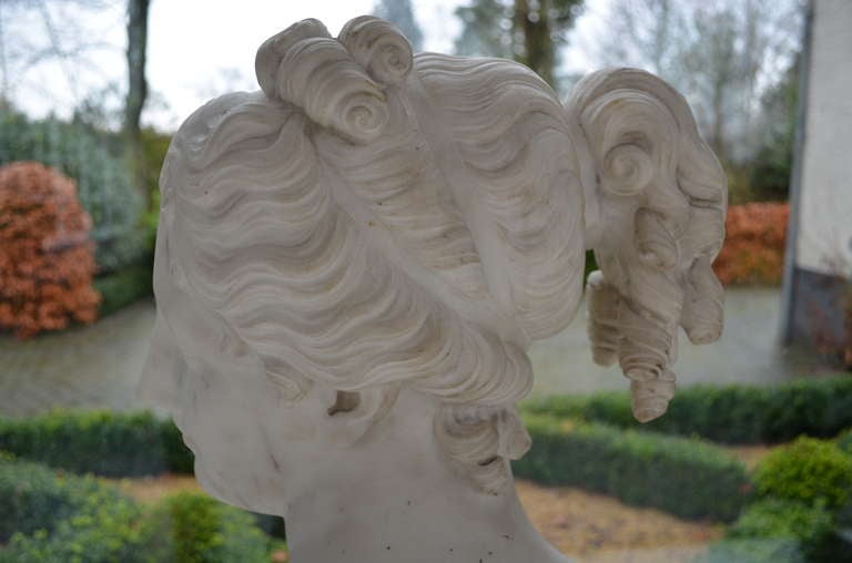 19 th. century Marble Bust For Sale 1