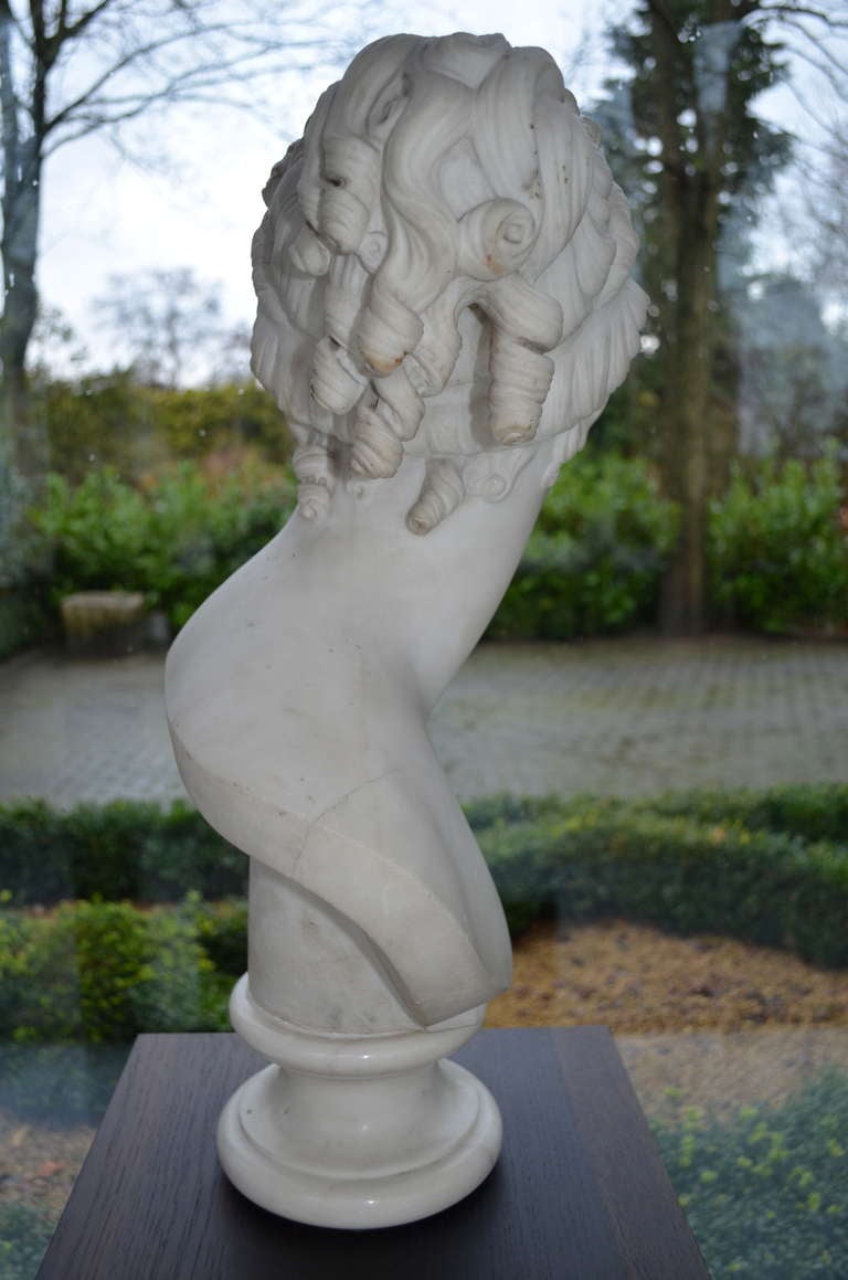 19th Century 19 th. century Marble Bust For Sale