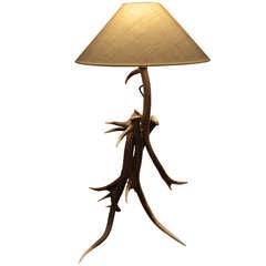 Horn Table Lamp