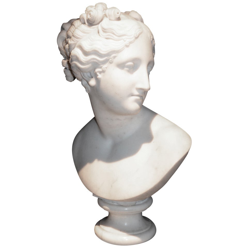 19 th. century Marble Bust For Sale