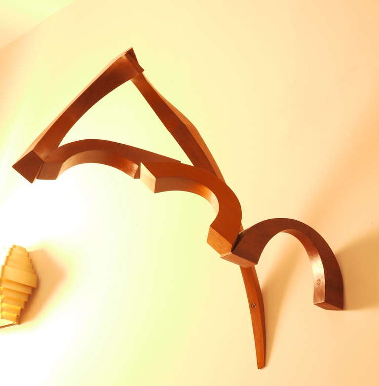 A 2012 wall sculpture made by the Spanish sculptor Mar Solis in 2012. Mahogany wood.