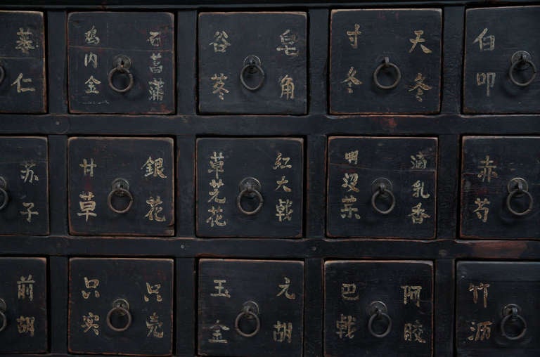 Elm wood Medicine Cabinet from Shanxi