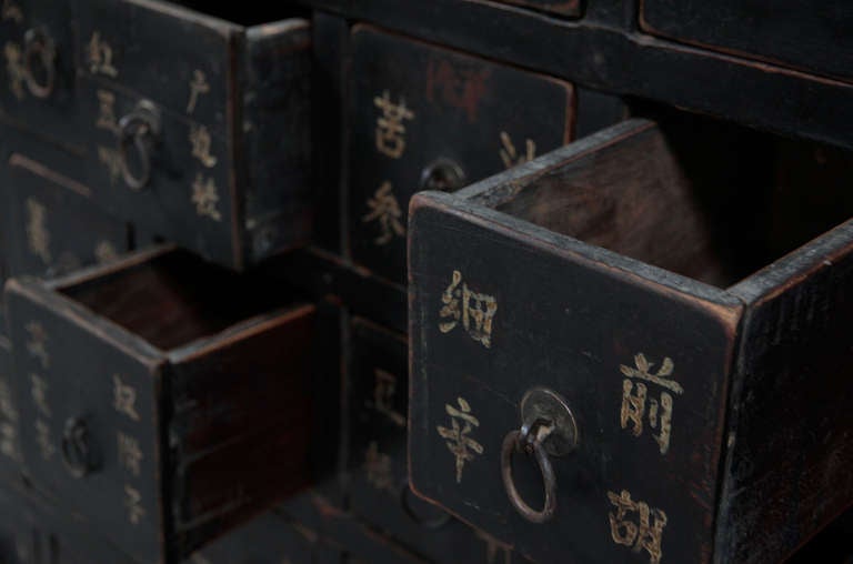 Chinese 19th c. Medicine Cabinet from Shanxi