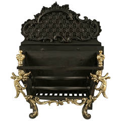 A Rococo Revival Brass and Cast Iron Fire Basket