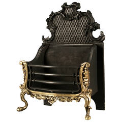 Original Cast Iron and Brass Rococo Manner Fire Grate