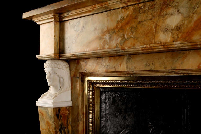 19th Century A Very Fine Neoclassical Sienna Marble Antique Fireplace For Sale