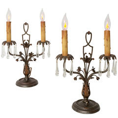 Pair of Whimsical Candelabra Lamps with Floral Motif, circa 1925
