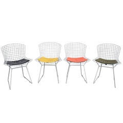 Vintage Set of Four Bertoia Chairs with Original Pads, circa 1952