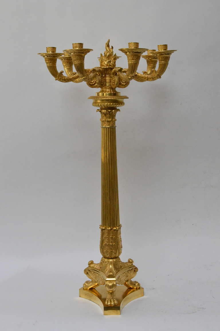 A large gilt bronze empire candelabras, circa 1820.  Very nice gilding and quality.