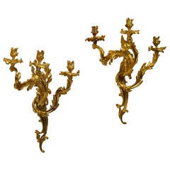 Large Pair of French Rococo Wall Appliqués, 19th Century