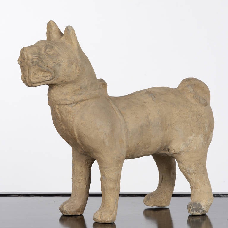 A rare and large dog from the Han dynasty modeled in black pottery with remains of original pigment. 

In the past, model dogs were not used by the Chinese in the home. Today they do appear in homes but as collectors items.