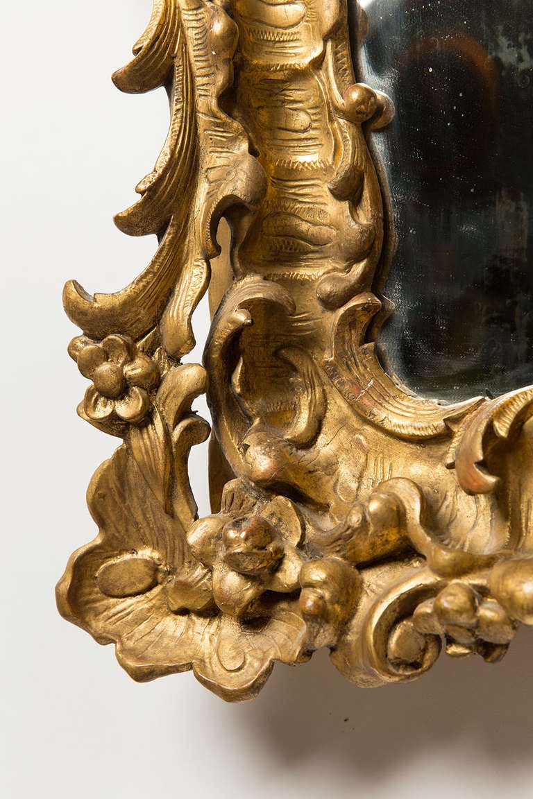 Carved 18th Century French Rococo Mirror/Frame