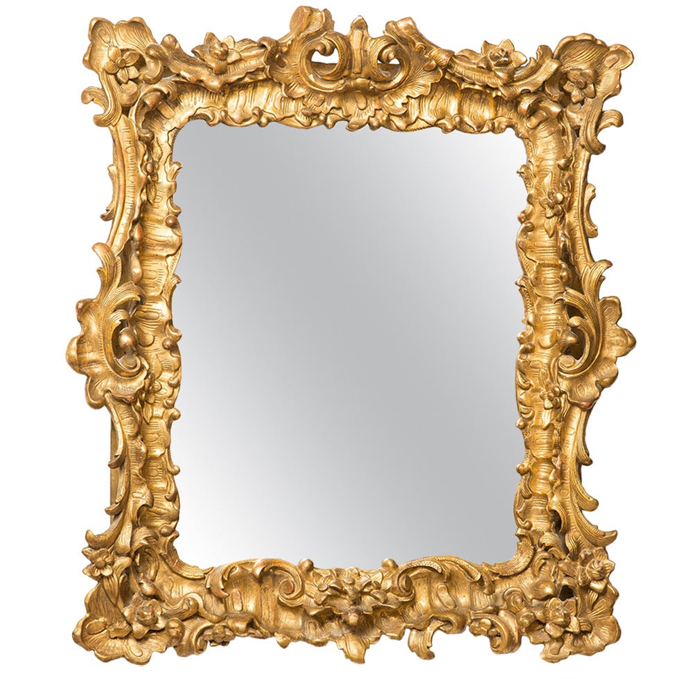 18th Century French Rococo Mirror/Frame