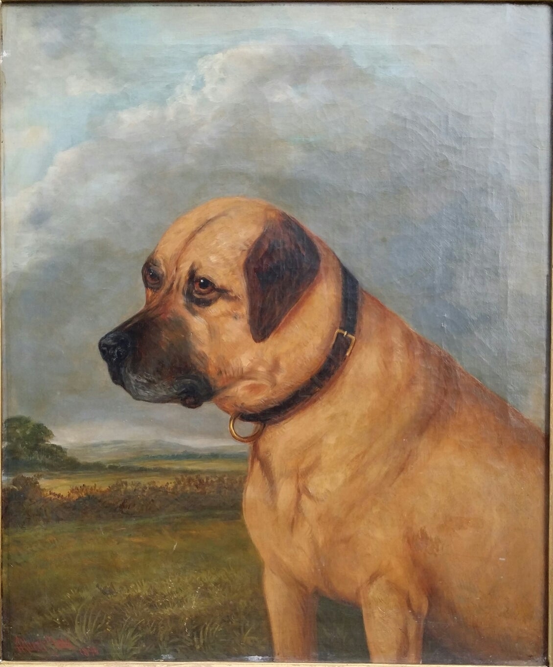 Mastiff- Oil on canvas. Signed : Albert Clark 1890. Albert Clark ,English artist 1821-1909. 90% of his painting's are of horses,the rest other animals. Small formats 50x60 or less. This painting is good condition.