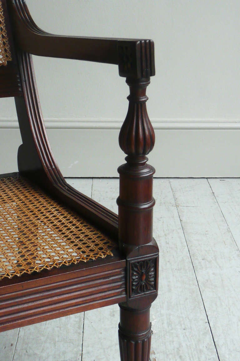 19th Century Anglo-Indian Padouk and Cane Bergere 1