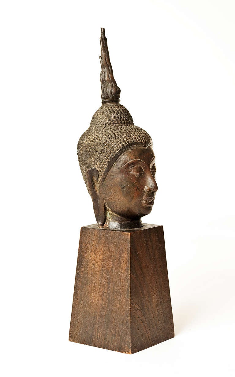 A very fine 15th century bronze head of Buddha, Lanna, Thailand.

The Buddha head has been part of a collection in Los Angeles belonging to a Swedish flight captain who collected Buddhist art in the 1960s and 1970s. This head was bought in Bangkok