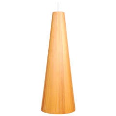 Danish Ceiling Lamp in Oregon Pine 7
