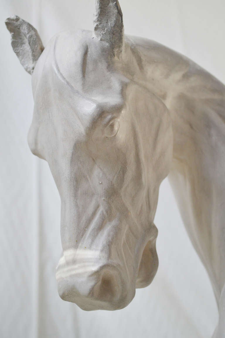 Huge Model of an Ecorche Horse, Very Detailed