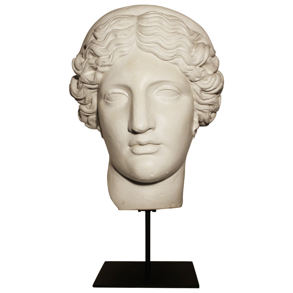 Head of The Venus de Milo
