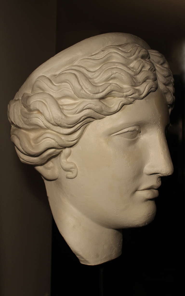 venus de milo head