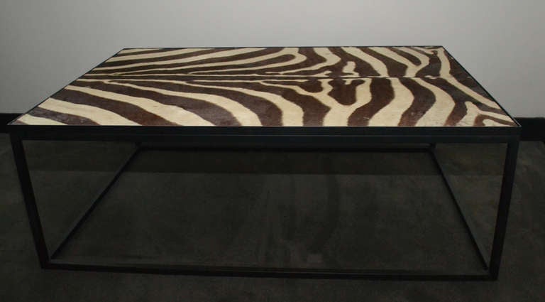 A nice coffee-table in black steel with a 60ties zebra-skin under glass.