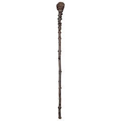 Walking Stick in Medlar, 19th Century Walking Stick in Medlar, 19th Century