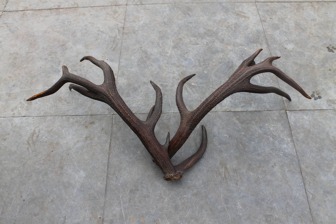 Pair of Antlers, circa 1900 In Good Condition For Sale In Sint Annaland, NL