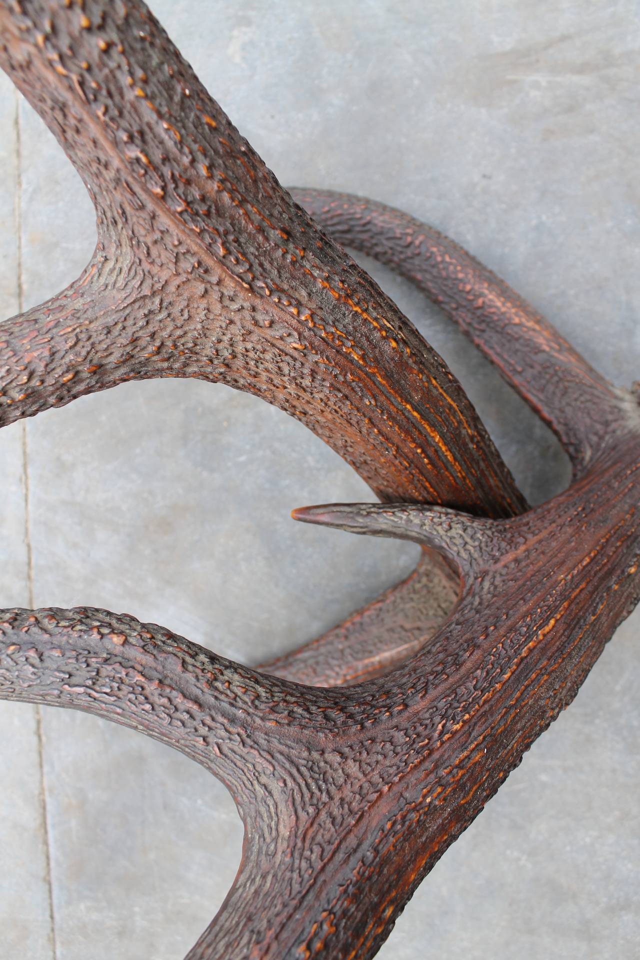 Austrian Pair of Antlers, circa 1900 For Sale