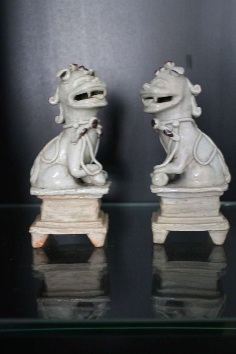 A pair of Chinese porcelain foo dogs gardian lions, 19th century