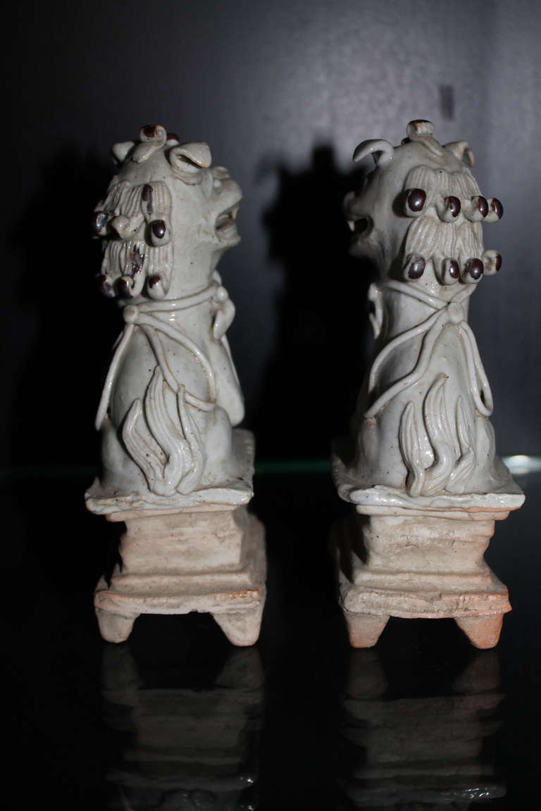 A Pair Foo Dogs Guardian Lions In Good Condition In Sint Annaland, NL