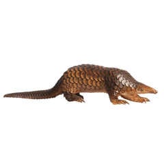 Pangolin Taxidermy circa 1900