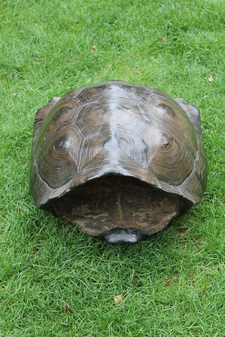 Shield of a giant tortoise from the Galapagos, ca. 1800 In Good Condition In Sint Annaland, NL