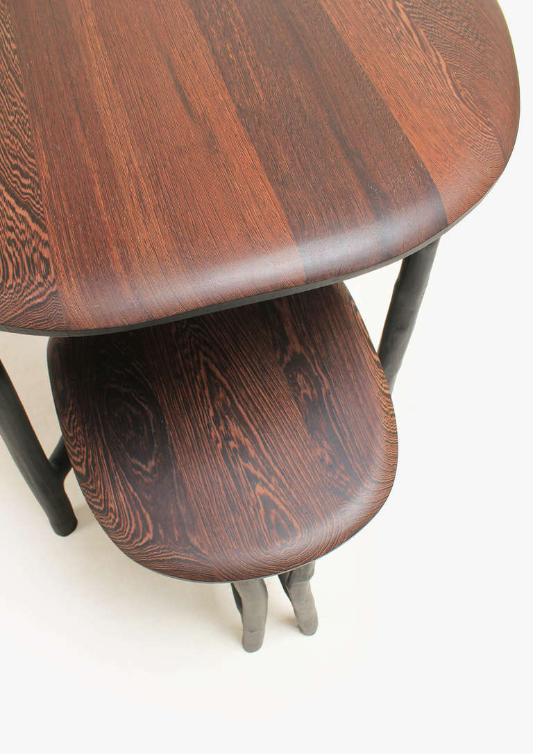 Contemporary Design Ovale Table 