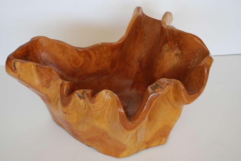 Hand-carved large burl and root bowls of this type are incredibly rare and this exemplary 2ft 5in treen bowl is unequaled in size.  The maple is polished to perfection and the thick wood bowl has a warm sheen and phenomenal sculptural quality. It's