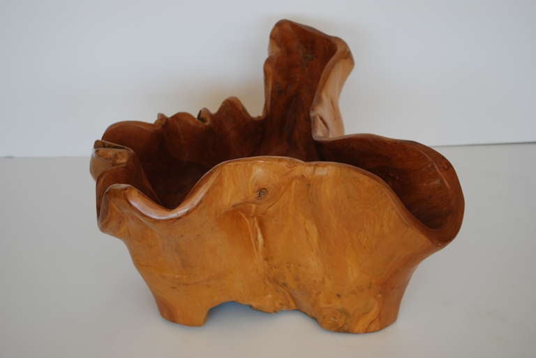 Rustic Giant Sculptural Burl Wooden Bowl For Sale