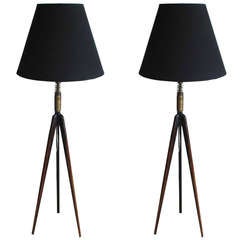 Pair of Unusual Carved Rosewood Tripod Lamps