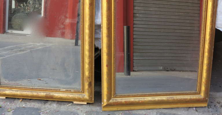 Pair of Mirrors, Louis Philippe Gilded with Gold Leaf Shell Pediment 1