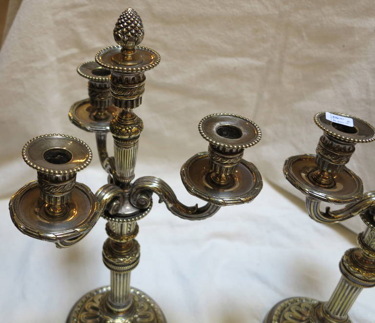 Pair of French Louis XVI, Silvered Bronze Candelaba In Good Condition In Paris, FR