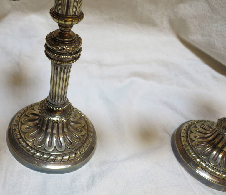 19th Century Pair of French Louis XVI, Silvered Bronze Candelaba