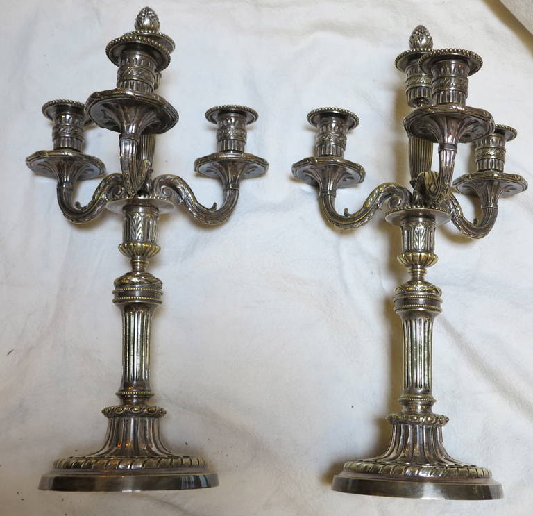 Pair of French Louis XVI, Silvered Bronze Candelaba 3