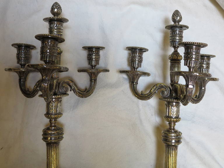 Pair of French Louis XVI, Silvered Bronze Candelaba 4