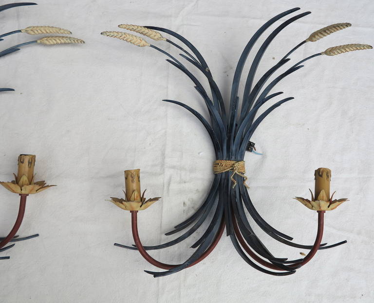 Pair of Painted Metal Wheat Sconces In Good Condition In Paris, FR