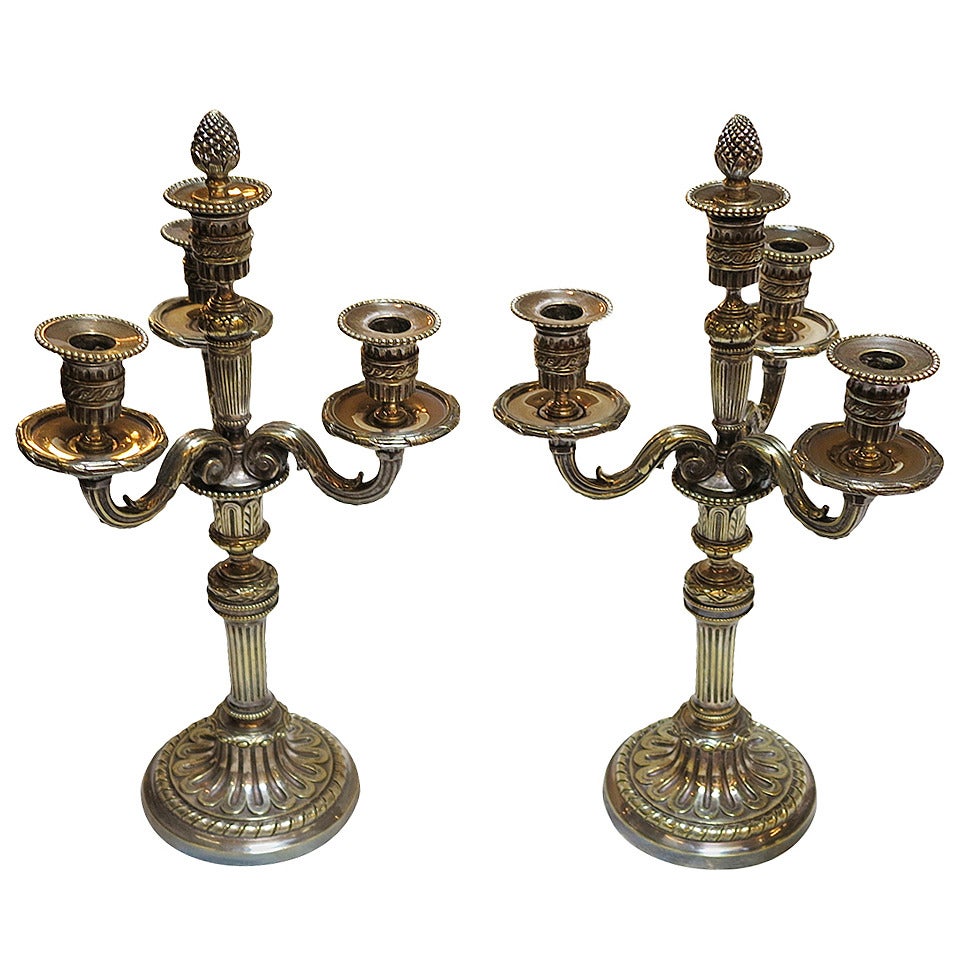 Pair of French Louis XVI, Silvered Bronze Candelaba